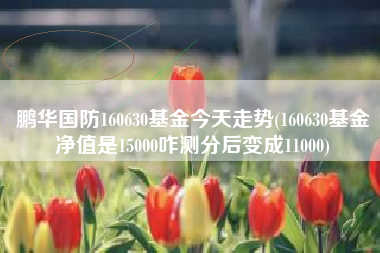 鹏华国防160630基金今天走势(160630基金净值是15000咋测分后变成11000)
