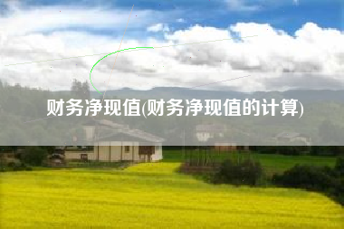 财务净现值(财务净现值的计算)