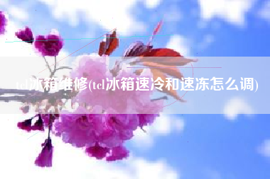 tcl冰箱维修(tcl冰箱速冷和速冻怎么调)