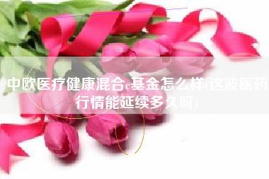 中欧医疗健康混合c基金怎么样(这波医药行情能延续多久呀)