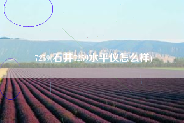 7259(石井7259水平仪怎么样)