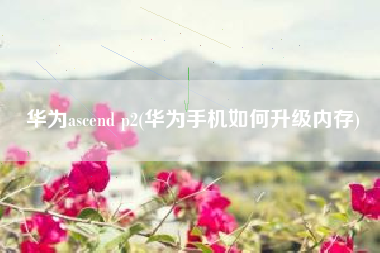详细阅读:华为ascend p2(华为手机如何升级内存) 华为ascend p2(华为手机如何升级内存)