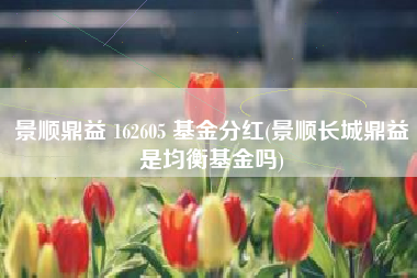 景顺鼎益 162605 基金分红(景顺长城鼎益是均衡基金吗)