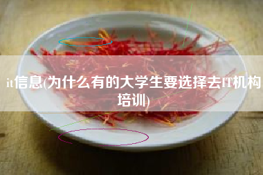 it信息(为什么有的大学生要选择去IT机构培训)