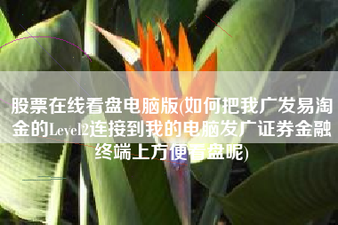 股票在线看盘电脑版(如何把我广发易淘金的Level2连接到我的电脑发广证券金融终端上方便看盘呢)