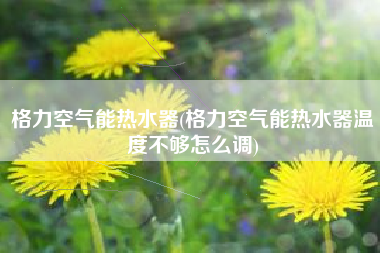 格力空气能热水器(格力空气能热水器温度不够怎么调)