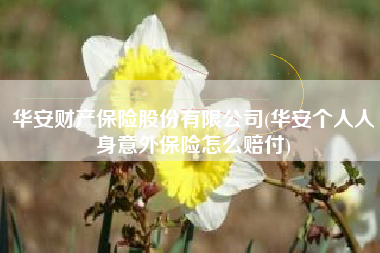 华安财产保险股份有限公司(华安个人人身意外保险怎么赔付)