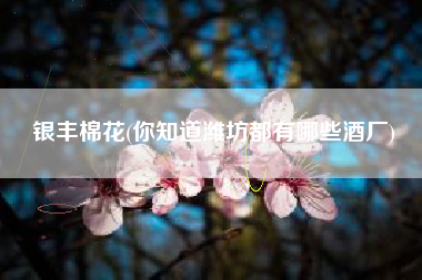 银丰棉花(你知道潍坊都有哪些酒厂)