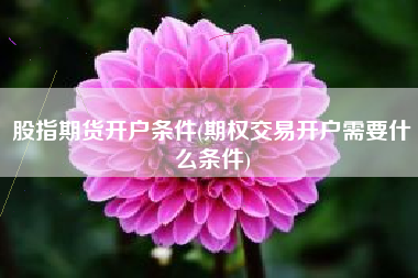 股指期货开户条件(期权交易开户需要什么条件)