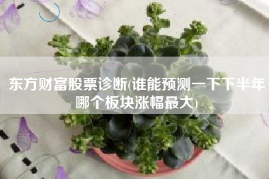 东方财富股票诊断(谁能预测一下下半年哪个板块涨幅最大)