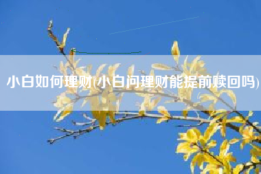 小白如何理财(小白问理财能提前赎回吗)
