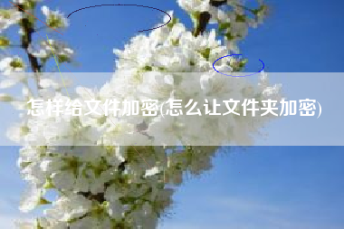 怎样给文件加密(怎么让文件夹加密)