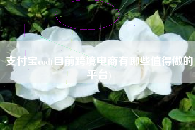 支付宝cod(目前跨境电商有哪些值得做的平台)