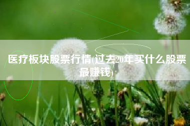 医疗板块股票行情(过去20年买什么股票最赚钱)