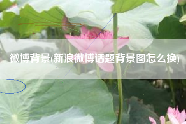 微博背景(新浪微博话题背景图怎么换)