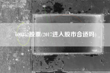 600352股票(2017进入股市合适吗)