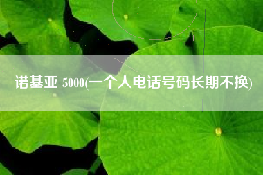 诺基亚 5000(一个人电话号码长期不换)