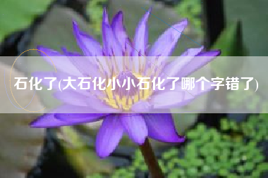 石化了(大石化小小石化了哪个字错了)