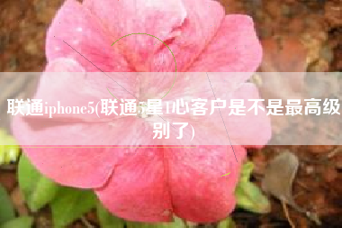 联通iphone5(联通5星1心客户是不是最高级别了)
