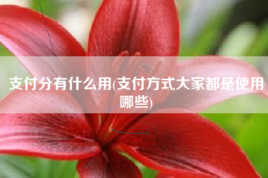 支付分有什么用(支付方式大家都是使用哪些)