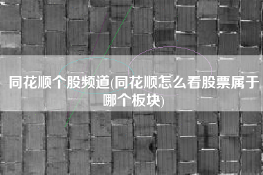 同花顺个股频道(同花顺怎么看股票属于哪个板块)