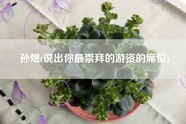 孙煜(说出你最崇拜的游资的席位)