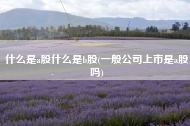 什么是a股什么是b股(一般公司上市是a股吗)