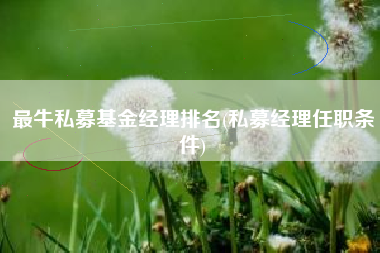 最牛私募基金经理排名(私募经理任职条件)