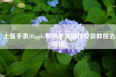 土曼手表(Ripple系列手表固件安装教程去哪找)