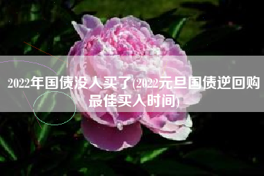 2022年国债没人买了(2022元旦国债逆回购最佳买入时间)