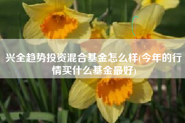 兴全趋势投资混合基金怎么样(今年的行情买什么基金最好)