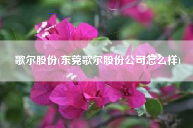 歌尔股份(东莞歌尔股份公司怎么样)
