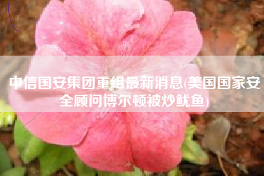 中信国安集团重组最新消息(美国国家安全顾问博尔顿被炒鱿鱼)