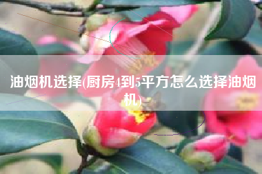 油烟机选择(厨房4到5平方怎么选择油烟机)