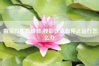 南京投影机维修(投影仪桌面停止运行怎么办)