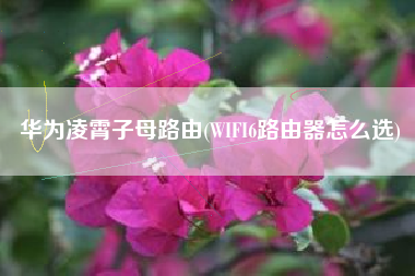 华为凌霄子母路由(WIFI6路由器怎么选)
