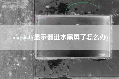 marshall(显示器进水黑屏了怎么办)