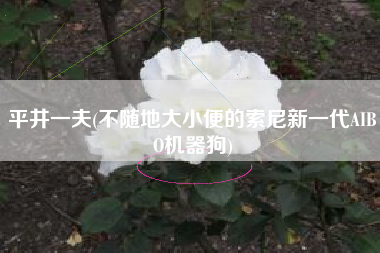 平井一夫(不随地大小便的索尼新一代AIBO机器狗)
