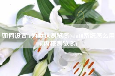 如何设置ie为默认浏览器(win10系统怎么用ie内核浏览器)