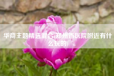 华商主题精选混合(郑州省医院附近有什么玩的)