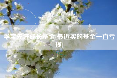 华宝先进成长基金(最近买的基金一直亏损)