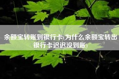 余额宝转账到银行卡(为什么余额宝转出银行卡迟迟没到账)