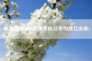 华为荣耀2代(荣耀手机从华为独立出来)