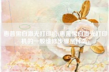 惠普黑白激光打印机(惠普黑白激光打印机的一般维修步骤是什么)