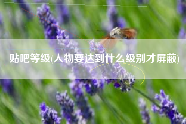 贴吧等级(人物要达到什么级别才屏蔽)