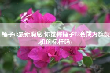 锤子t3最新消息(你觉得锤子T3会成为旗舰机的标杆吗)