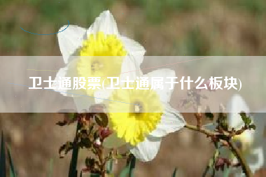 卫士通股票(卫士通属于什么板块)