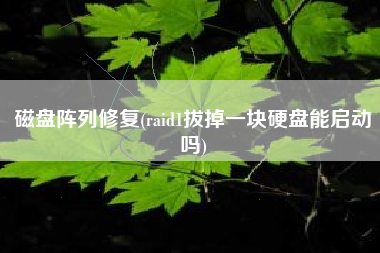 磁盘阵列修复(raid1拔掉一块硬盘能启动吗)