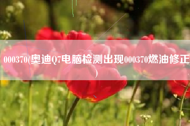 000370(奥迪Q7电脑检测出现000370燃油修正)