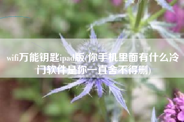 wifi万能钥匙ipad版(你手机里面有什么冷门软件是你一直舍不得删)